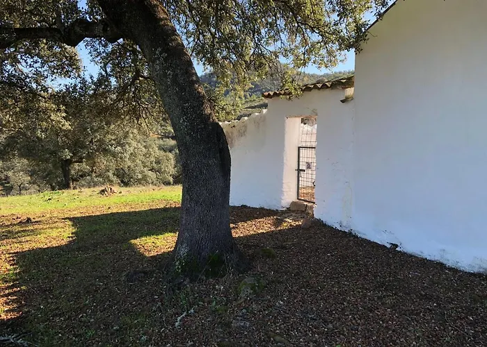 Finca La Vicaria Romero